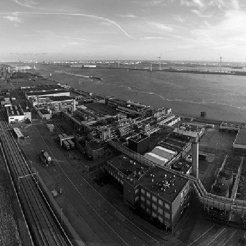 COIM acquires the Dutch company Synres